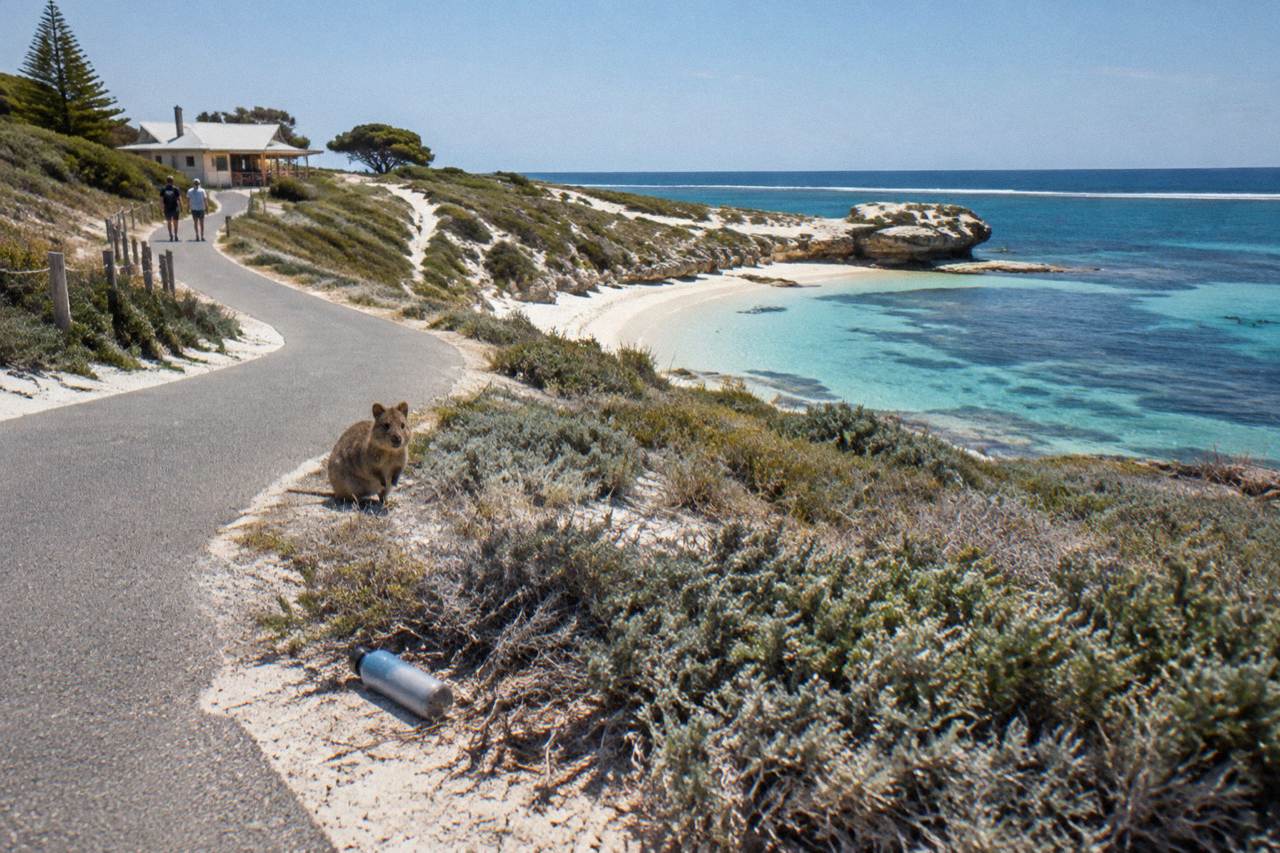 A sealed cycle path curving along a coastline of pale sand and turquoise water on Rottnest Island