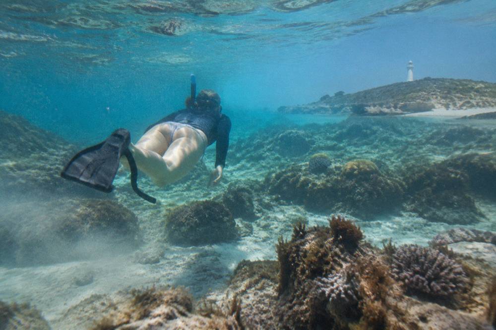 A snorkeller floating above calm clear water above a reef with scattered coral formations