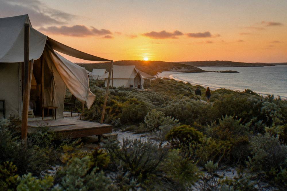 Eco-tent accommodation set among low coastal scrub near a calm bay at sunset