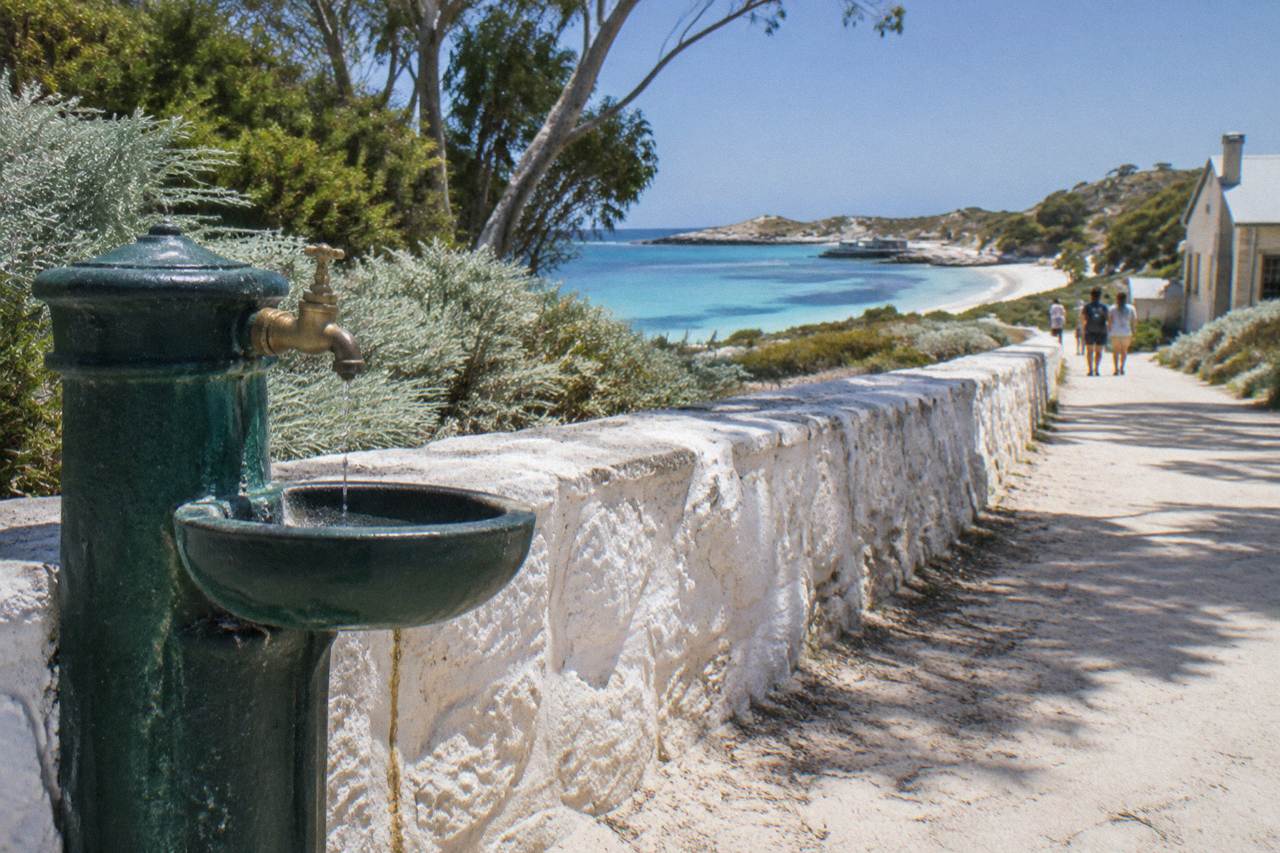 A drinking fountain and tap beside a low limestone wall near the beach at Thomson Bay settlement on Rottnest Island.