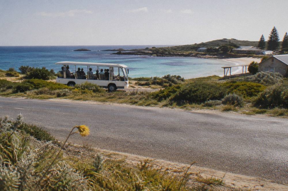 A small shuttle bus on a sealed road between low coastal scrub and a blue bay