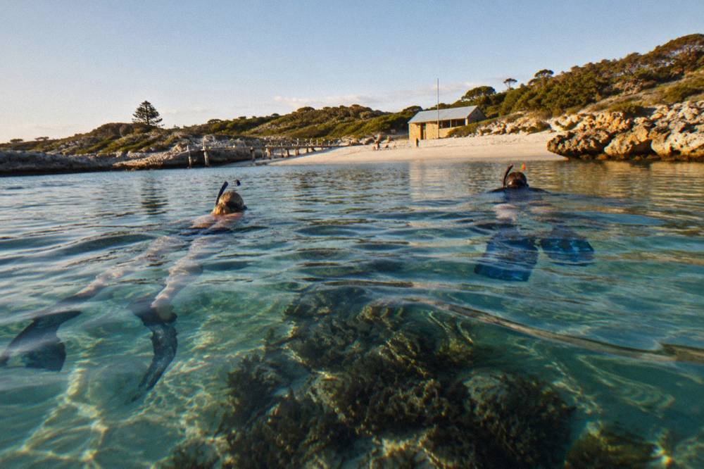 Snorkellers in clear shallow water above a reef at Rottnest Island