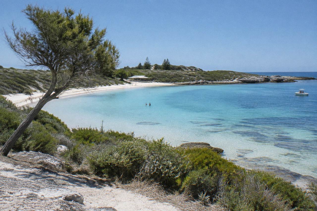 Calm turquoise bay at Rottnest Island with sandy beach and low coastal scrub under a clear sky