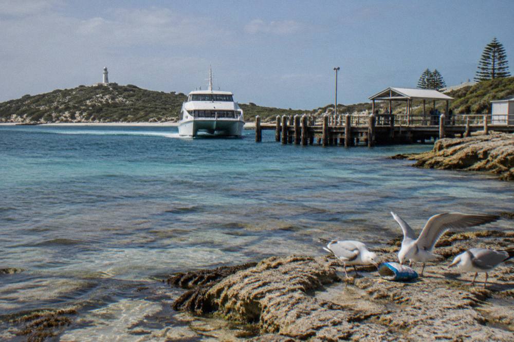A passenger ferry approaching the main jetty at Thomson Bay on Rottnest Island