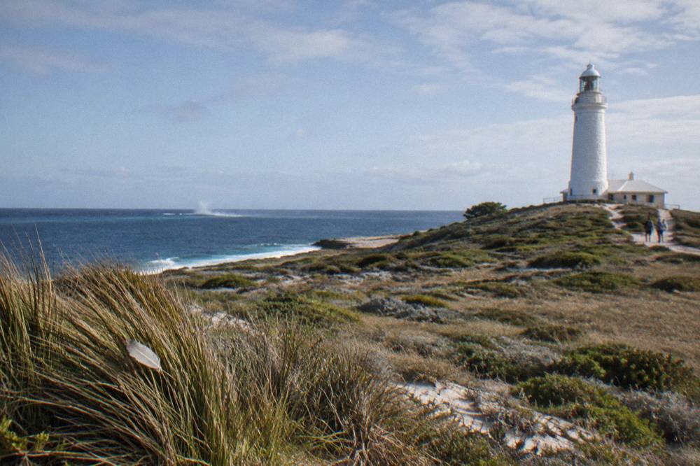 Grassland and low coastal scrub on a headland above the open sea