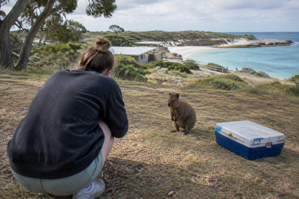 A visitor crouching low on a lawn while a quokka stands nearby at a respectful distance