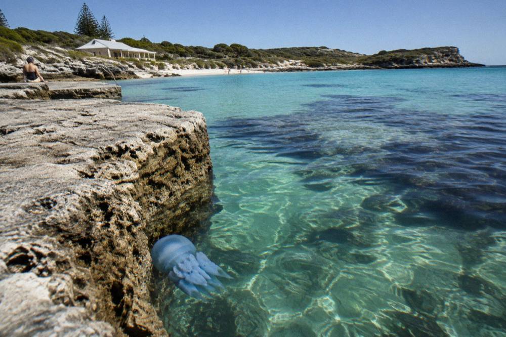 Clear shallow water over reef at a sheltered Rottnest bay