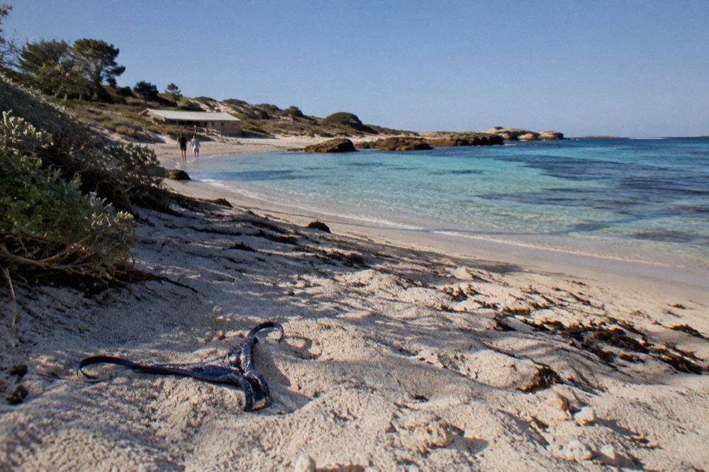 A sheltered turquoise bay at Rottnest Island with pale sand and low coastal scrub along the shoreline