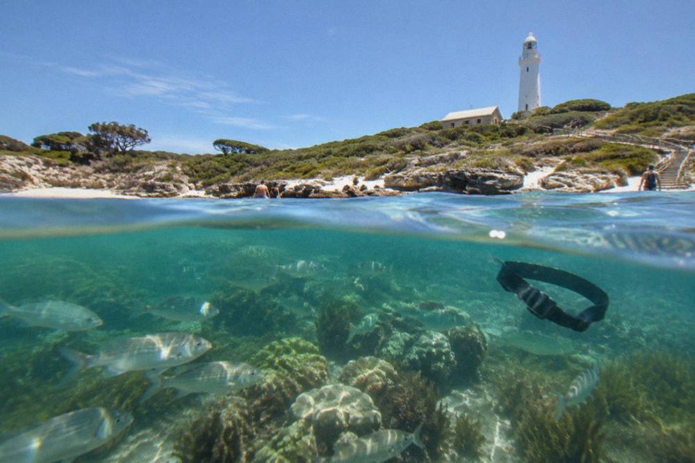 Clear shallow water over a coral reef with fish visible near the surface at a Rottnest island bay