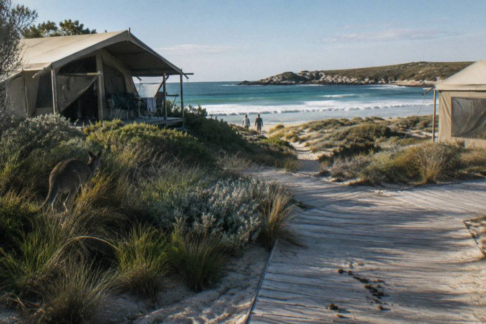 Eco-tents set among low coastal dunes near a white sand beach