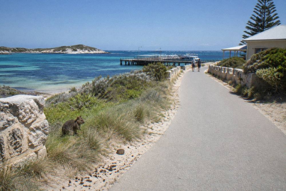 A sealed cycling path running beside a sheltered bay with a ferry at a jetty in the distance