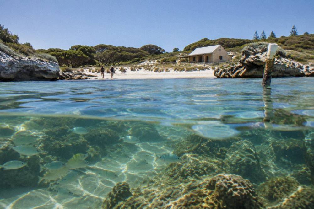 Clear water over a coral reef with fish near a snorkel trail marker