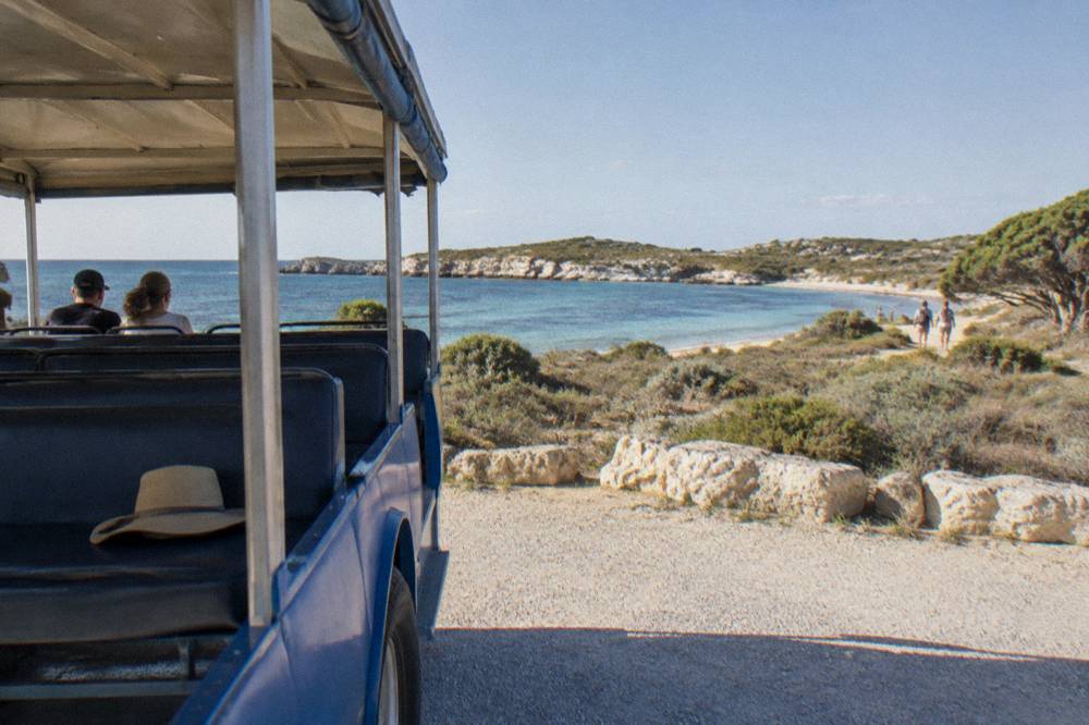 Open-sided bus parked at a stop beside low coastal scrub and a gravel bay