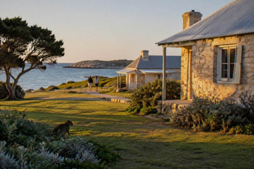 Golden late afternoon light across the lawns and heritage buildings of Thomson Bay settlement