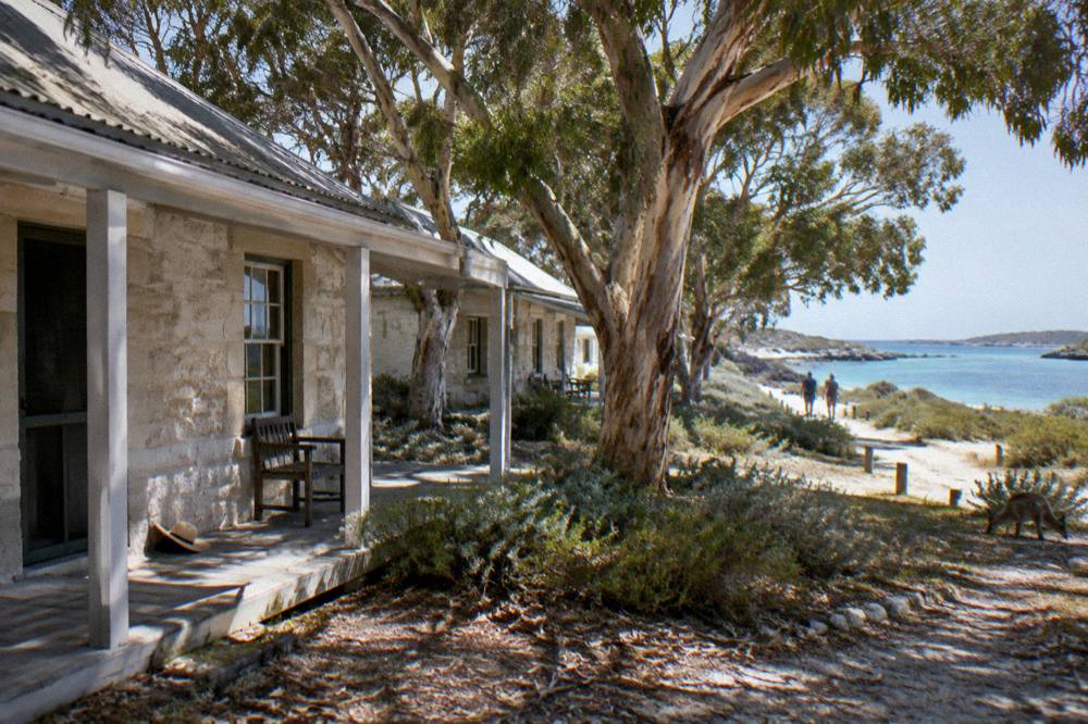 Bicycles parked in the shade near the Rottnest Island settlement under eucalyptus trees