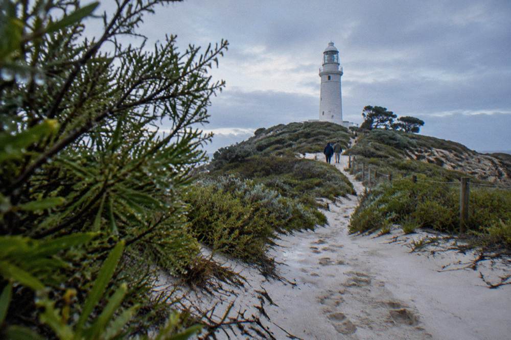 A quiet walking trail through dunes and low scrub on Wadjemup